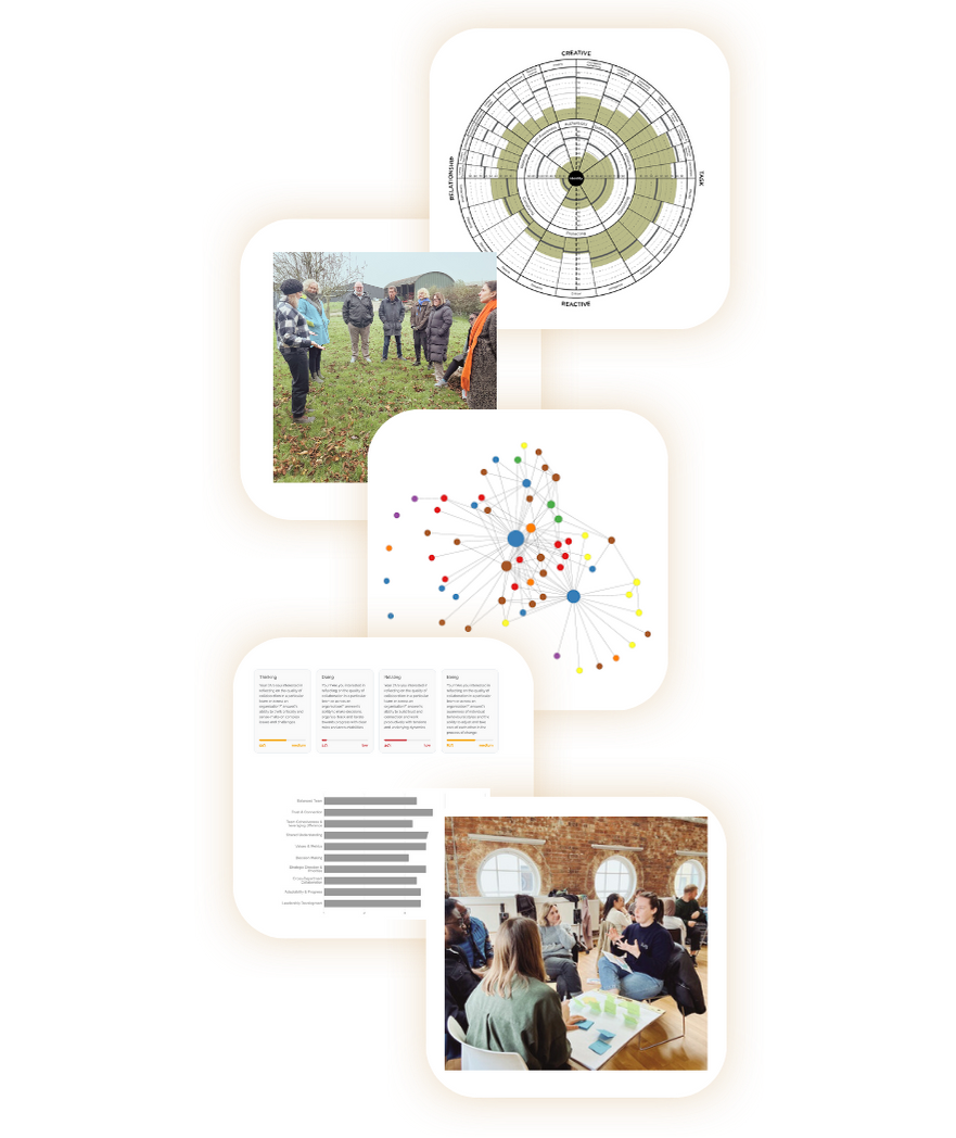Ways of working with Rise Beyond